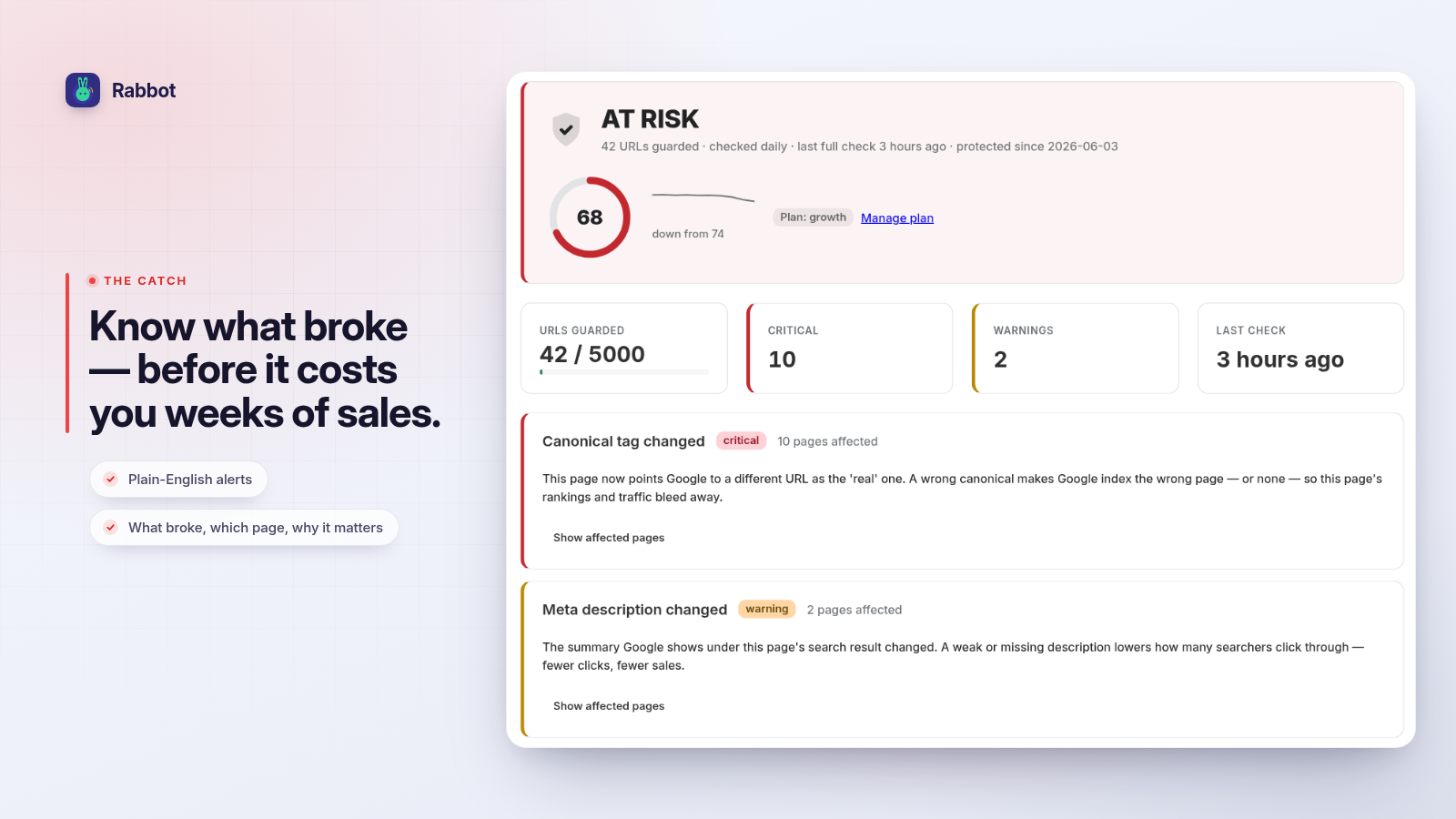 Rabbot dashboard showing an at-risk store: a critical 'canonical tag changed' alert and a 'meta description changed' warning, each written in plain English with the pages affected.